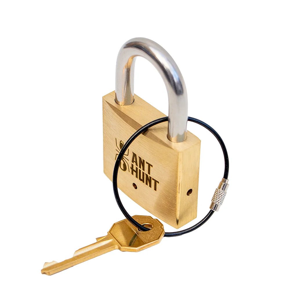 Side angle view of the Ant Hunt intermediate mechanical puzzle. An engaging physical brain teaser designed to help someone spend less time on their phone by offering a satisfying, hands-on spatial reasoning challenge.
