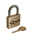 The Curious Mind Bundle - Locus & Ant Hunt